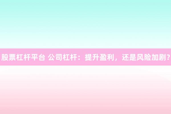 股票杠杆平台 公司杠杆：提升盈利，还是风险加剧？