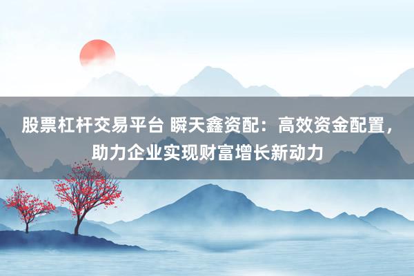 股票杠杆交易平台 瞬天鑫资配：高效资金配置，助力企业实现财富增长新动力