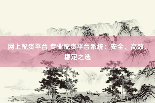 网上配资平台 专业配资平台系统：安全、高效、稳定之选