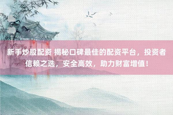 新手炒股配资 揭秘口碑最佳的配资平台，投资者信赖之选，安全高效，助力财富增值！
