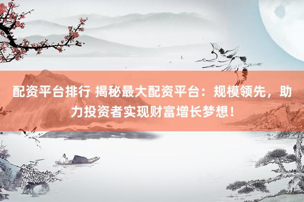 配资平台排行 揭秘最大配资平台：规模领先，助力投资者实现财富增长梦想！
