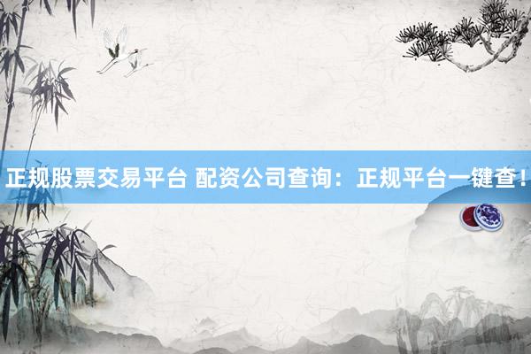 正规股票交易平台 配资公司查询：正规平台一键查！
