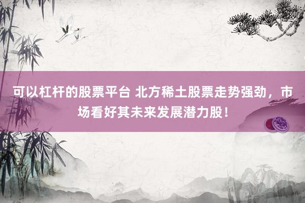 可以杠杆的股票平台 北方稀土股票走势强劲，市场看好其未来发展潜力股！