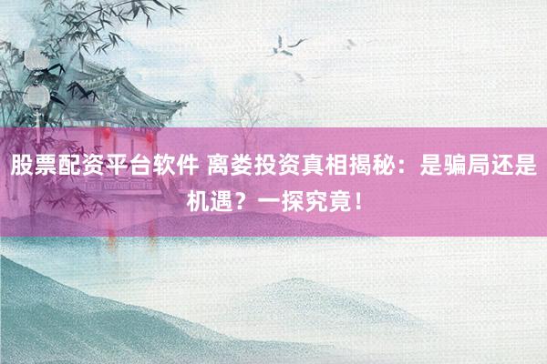 股票配资平台软件 离娄投资真相揭秘：是骗局还是机遇？一探究竟！