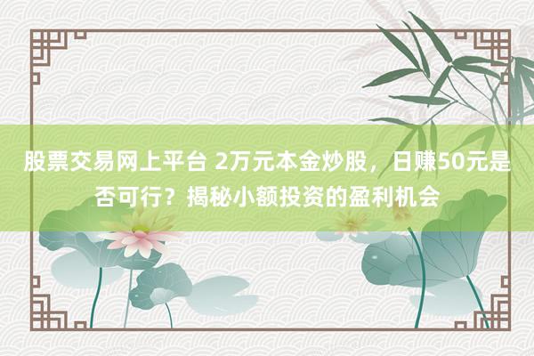股票交易网上平台 2万元本金炒股，日赚50元是否可行？揭秘小额投资的盈利机会