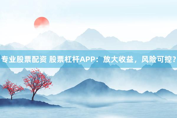 专业股票配资 股票杠杆APP:放大收益,风险可控?