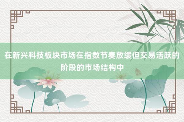 在新兴科技板块市场在指数节奏放缓但交易活跃的阶段的市场结构中
