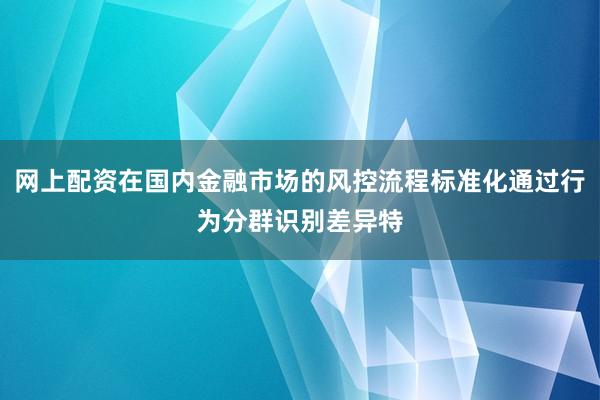 网上配资在国内金融市场的风控流程标准化通过行为分群识别差异特